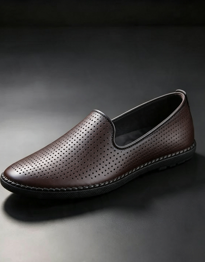 Brown Series 1
